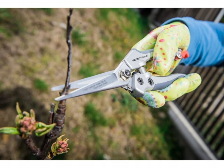 SEKATOR, NOŻYCE DO RÓŻ, KWIATÓW, WINOGRONA 200mm długie ostrze