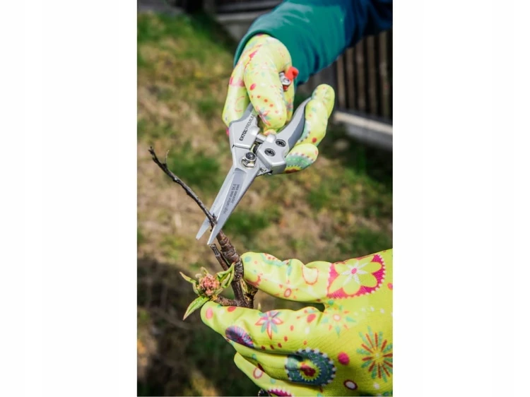 SEKATOR, NOŻYCE DO RÓŻ, KWIATÓW, WINOGRONA 200mm długie ostrze