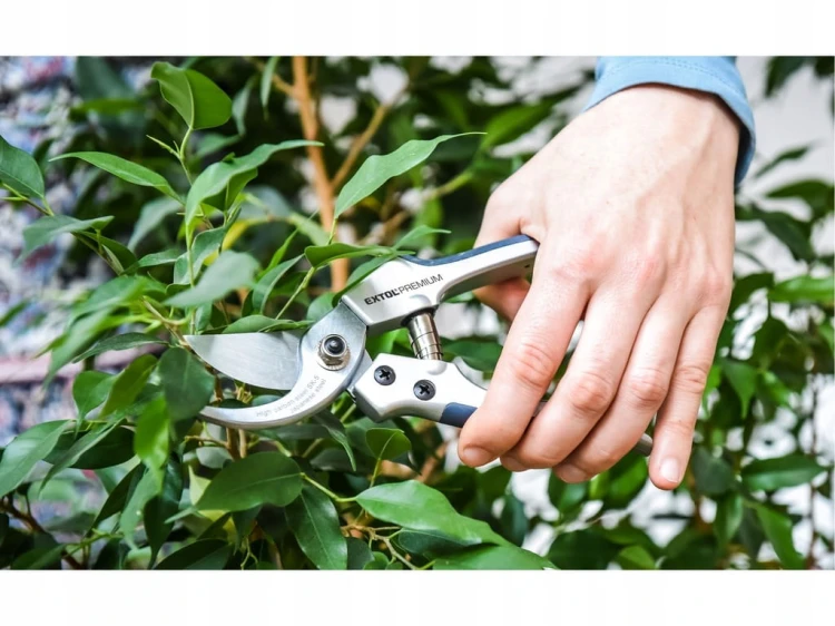 SEKATOR OGRODOWY NOŻYCE DO KWIATÓW 200mm MOCNE DO GAŁĘZI MAX 15MM STAL INOX
